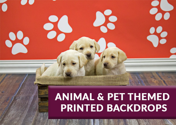 pet and animal printed backdrops
